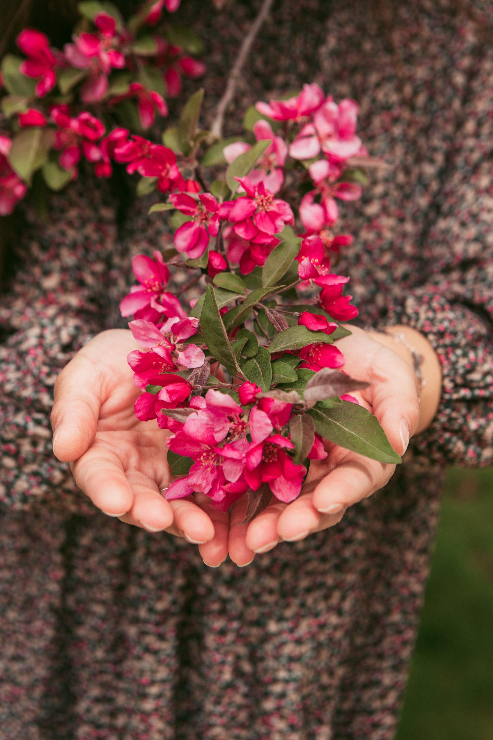Фоновое изображение